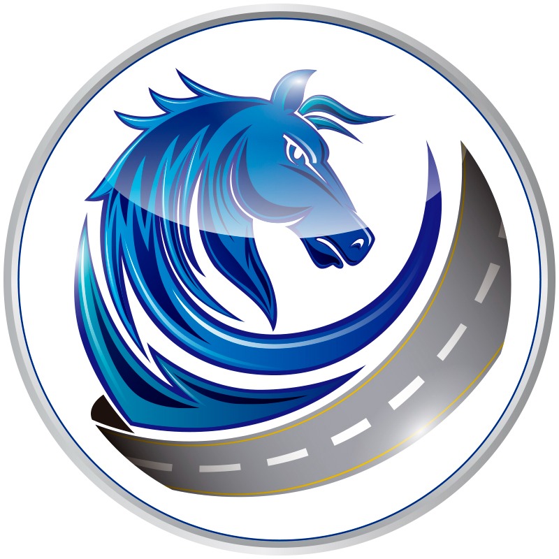 what Pegaso